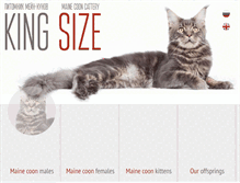Tablet Screenshot of kingsize-cat.ru